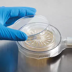 biocapt single use mikrobielle Pobenahme der Luft